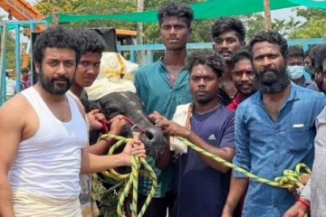 வணங்கான் தொடர்ந்து வாடிவாசலில் இருந்தும் சூர்யா விலகல்? உண்மை இதுதான்