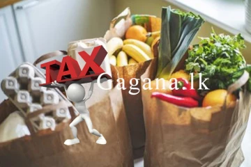 බඩු මිල අඩු වෙයිද? ජනතාවට දෙන විශේෂ සහන ගැන ජනපති කියයි.