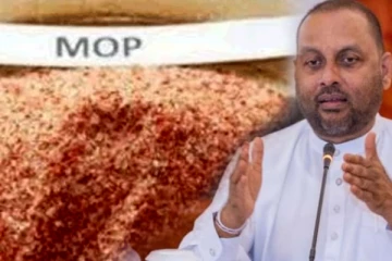 விலை குறைப்பிற்கு அனுமதி: அமைச்சர் வெளியிட்டுள்ள தகவல்