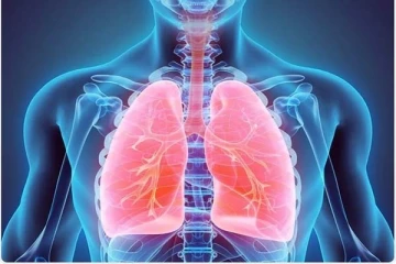 நுரையீரலை பாதிக்கும் COPD... அதிகரிப்பதற்கு காரணம் என்ன?