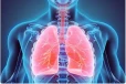 நுரையீரலை பாதிக்கும் COPD... அதிகரிப்பதற்கு காரணம் என்ன?