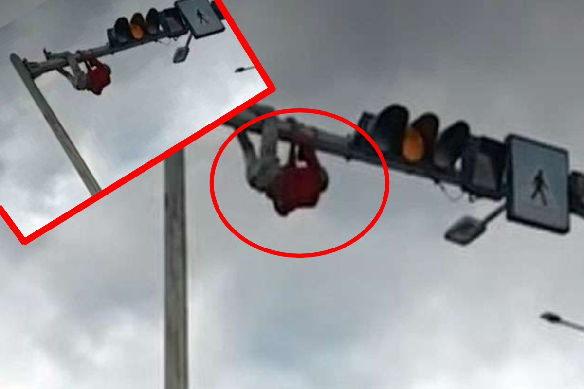 சமிக்ஞை விளக்கு கோபுரத்தில் ஊஞ்சலாடிய நபர்; கொழும்பில் பரபரப்பை ஏற்படுத்திய சம்பவம் ! | Man Rescued Traffic Light Presidential Secretariat