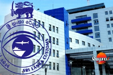 කොළඹ කොටුව රේගු මූලස්ථානයෙන් ජීව උණ්ඩ හමුවේ