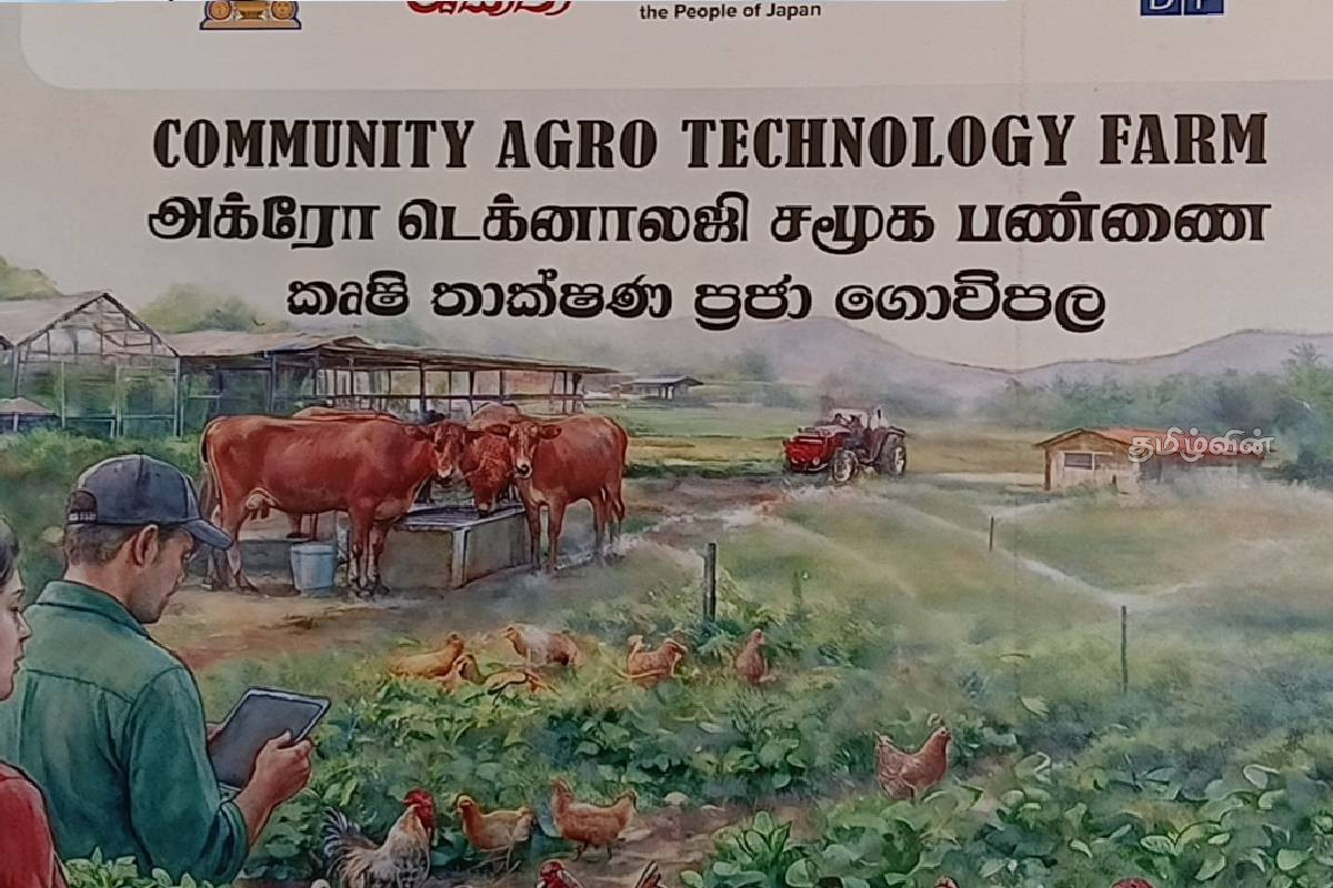 கிளிநொச்சி - பிரமந்தனாறு விவசாய பண்ணைக்கு ஜப்பானிய தூதுவர் உத்தியோபூர்வ விஜயம் | Japanese Ambassador Visit Pramanthanaru Farm கிளிநொச்சி - பிரமந்தனாறு விவசாய பண்ணைக்கு ஜப்பானிய தூதுவர் உத்தியோபூர்வ விஜயம் | Japanese Ambassador Visit Pramanthanaru Farm