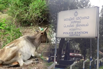 திருகோணமலையில் மாடு திருடிய பொலிஸ் உத்தியோகத்தர் கைது