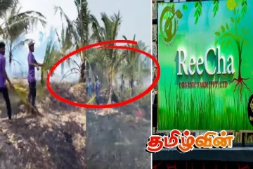 றீச்சாவை ஒருவாரம் கடந்தும் இலக்கு வைப்பதற்கான காரணம்!