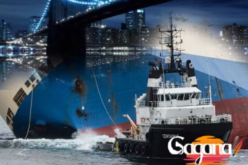 නෞකා අනතුරක් ! තිදෙනෙකුට බරපතලයි