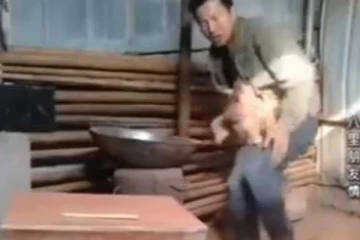 உல்லாசமாக திரிந்த கோழியை சீண்டிய நபர்... அடுத்த நொடியே பலி வாங்கிய துணை சேவல்!