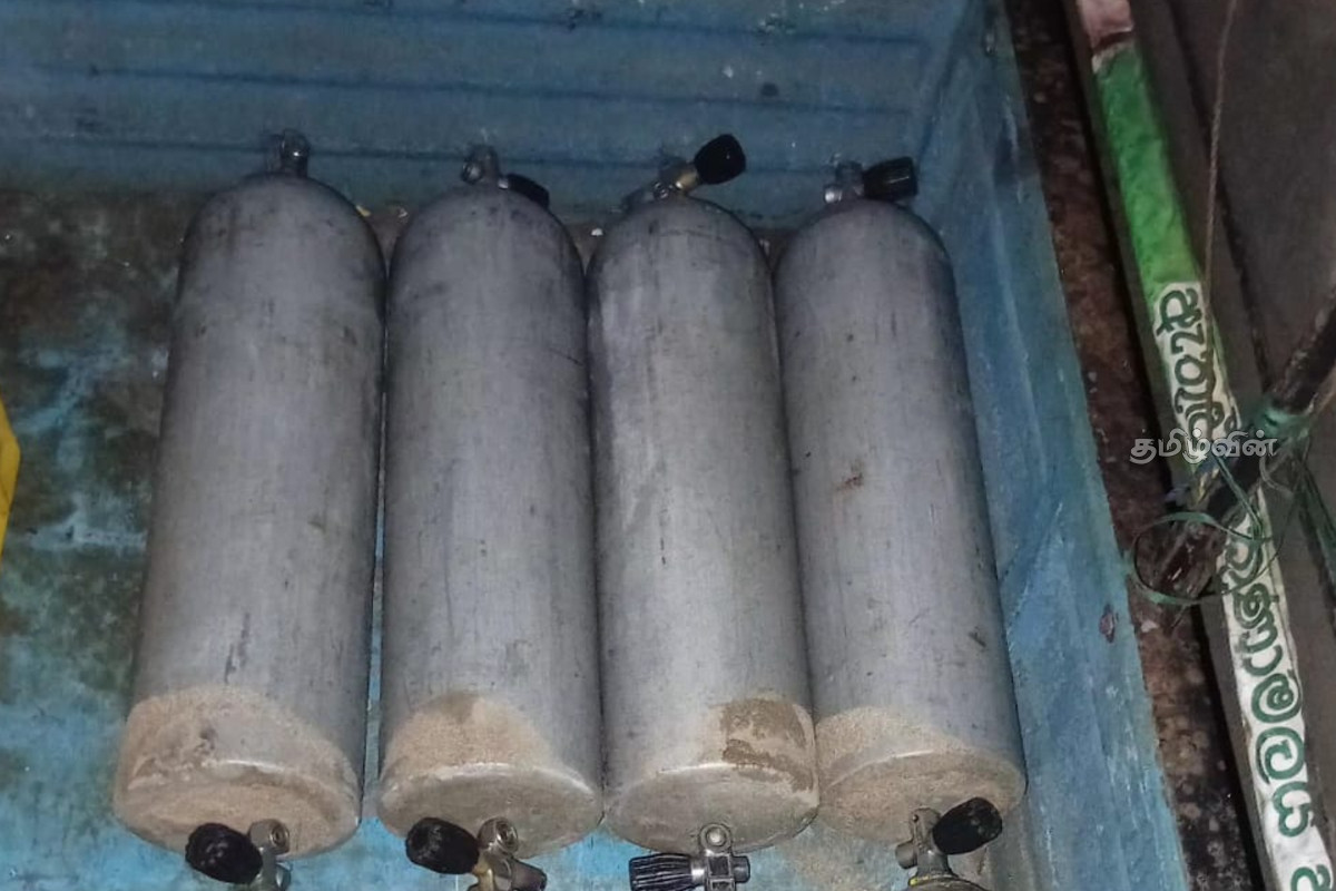 திருகோணமலையில் கடலட்டைகளுடன் ஐவர் கைது! | Five Arrested With Seashells In Trincomalee