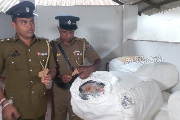 சட்டவிரோதமாக கொண்டுவரப்பட்ட பீடி இலைகள் குறித்து விசாரணை (Video) | Illegally Imported Beedi Leaves