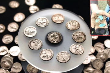 வயலில் வேலை செய்யும்போது 350 ஆண்டுகள் பழமையான வெள்ளி நாணயங்களை கண்டுபிடித்த தம்பதி