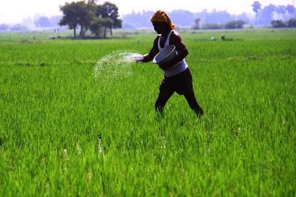 விவசாய அமைச்சு விவசாயிகளுக்கு விடுத்த அறிவுறுத்தல் | Instructions By Ministry Of Agriculture To Farmers