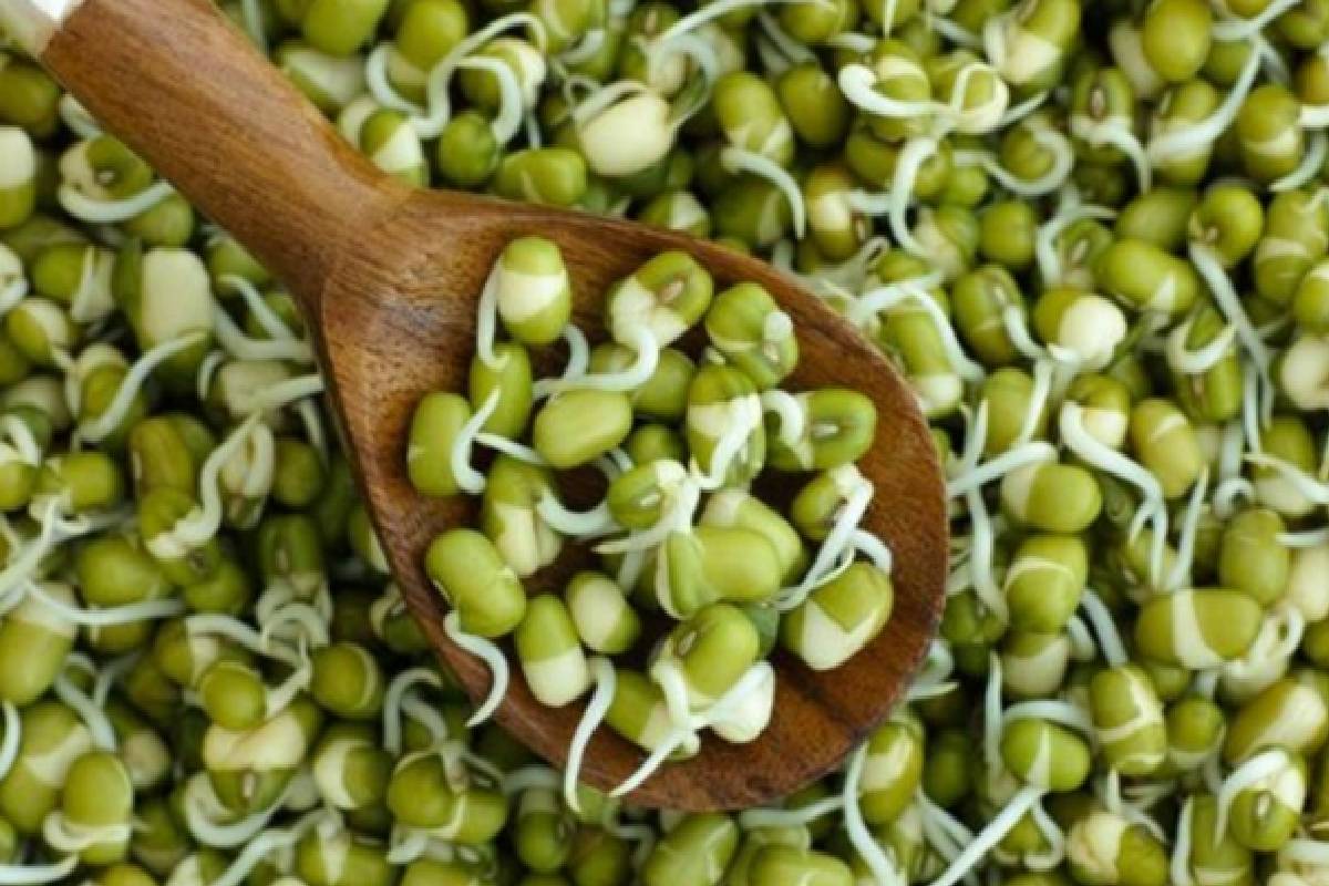 காலையில் வெறும் வயிற்றில் சாப்பிட வேண்டிய டாப் 15 உணவுகள் – மருத்துவர் கூறும் தகவல்! | What Are 15 Best Breakfast Foods