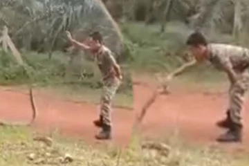 சீறிக்கொண்டு படமெடுத்த பாம்பு! நடந்த ஆச்சரித்தை நீங்களே பாருங்க