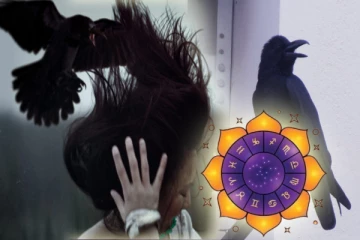 காகம் தலையில் தட்டினால் என்ன பலன்? வேத சாஸ்திர உண்மை தெரிஞசுக்கோங்க