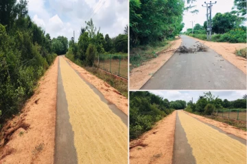 வீதியை ஆக்கிரமித்த தனி நபர்: போக்குவரத்து பாதிப்பு குறித்து மக்கள் விசனம்