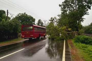 யாழிலும் ஆட்டம் காட்டும் Ditwah புயல்; பலத்த காற்றுடன் அதிகரித்த மழை