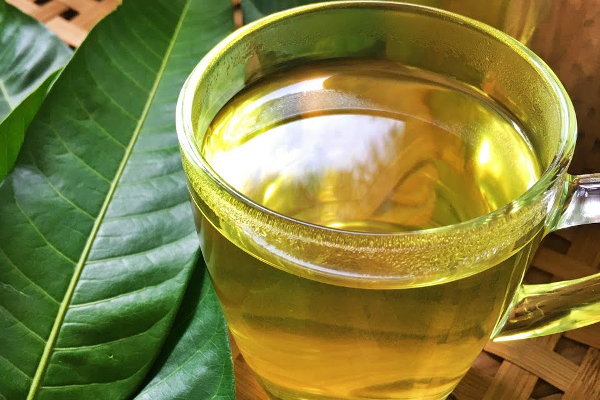 மாவிலை நீர் இத்தனை நோய்களை குணமாக்குமா? இவ்வளவு நாள் இது தெரியாம போச்சே! | Mango Leaves Treating Diabetes