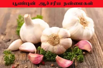 Garlic Benefits: இதய நோய், புற்றுநோய் வராமல் தடுக்கும் பூண்டு