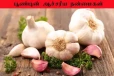 Garlic Benefits: இதய நோய், புற்றுநோய் வராமல் தடுக்கும் பூண்டு