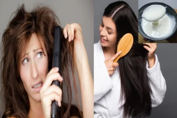 பரட்டை போல் முடி இருக்கா? வீட்டிலேயே இயற்கை முறையில் Hair Smoothening Cream செய்யலாம்