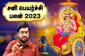 சனிப்பெயர்ச்சி பலன்கள்; ஏழரை சனி - பாதிப்பு யாருக்கு? பரிகாரம் இதுதான்
