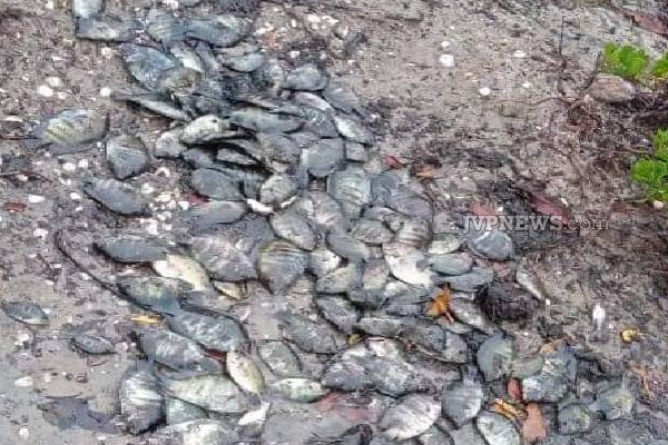வாகரை - வட்டவானில் கவலையை ஏற்படுத்திய சம்பவம்! அதிர்ச்சி புகைப்படங்கள் | Batticaloa A Worrying Incident In Vakarai