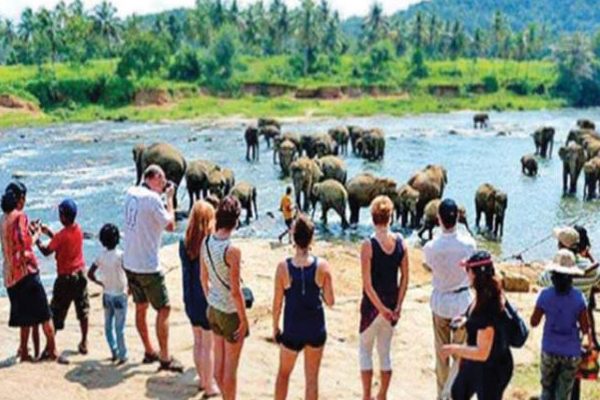 இலங்கையில் வெளிநாட்டு சுற்றுலாப் பயணிகளுக்கென சிறப்பு நடவடிக்கை! | Hospital For Foreign Tourists In Sri Lanka