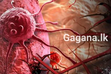 අධික උණුසුමෙන් මනසට සිදුවන දේ ගැන ඔබ දැනුවත්ද..?