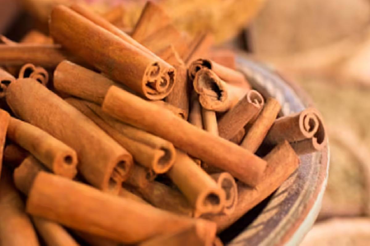 health benefits of cinnamon : இலவங்கப்பட்டையின் மருத்துவ குணங்களும் ஆரோக்கிய நன்மைகளும்! | Amazing Health Benefits Of Cinnamon health benefits of cinnamon : இலவங்கப்பட்டையின் மருத்துவ குணங்களும் ஆரோக்கிய நன்மைகளும்! | Amazing Health Benefits Of Cinnamon