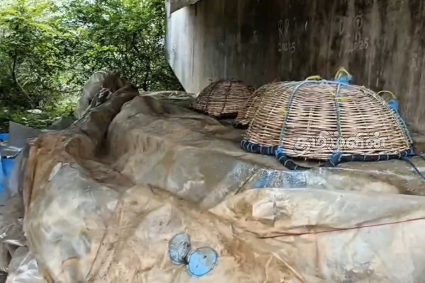 மூதூரில் 1,500 கிலோகிராம் அழுகிய மீன்கள் மீட்பு- தீவிரப்படுத்தப்படும் விசாரணை | 1 500 Kilograms Of Rotten Fish Recovered In Muttur