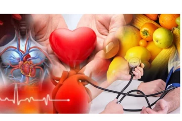 உயிருக்கு ஆபத்தை ஏற்படுத்தும் உயர் இரத்த அழுத்தம் - அதை தடுக்க என்ன செய்யலாம்?