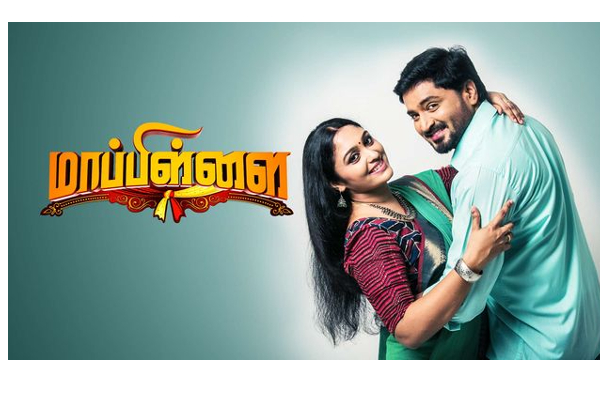 காதலித்து திருமணமாகி 8 வருடங்களுக்கு பின் கர்ப்பமான விஜே செந்தில் மனைவி.. ஸ்ரீஜா வலைக்காப்பு.. | After 8 Years Photo Going Viral Senthil Sreeja