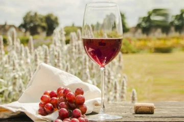 சருமம் முதல் முடி வரை: ஏராளமான நன்மையை அள்ளித்தரும் Red Wine