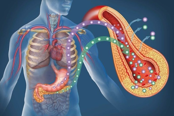 வாயில் இப்படி இருந்தால் கொடிய சர்க்கரை தாக்கி இருக்கலாம்! உடனே மருத்துவரிடம் ஓடுங்கள் | Diabetes Mouth Symptoms