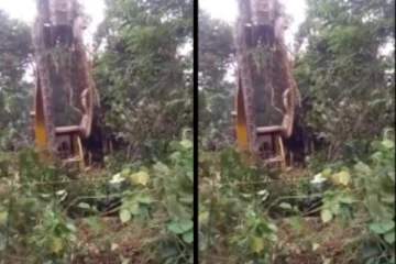 ‘எவ்ளோ பெரிய பாம்பு...’ - ஜேசிபி இயந்திரம் மூலம் தூக்கப்பட்ட ராட்சத பாம்பு - அதிர்ச்சி வீடியோ