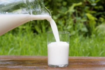 பச்சை பாலின் தீமைகளை அறியாத ஜேர்மன் மக்கள்: ஆய்வு முடிவுகள்