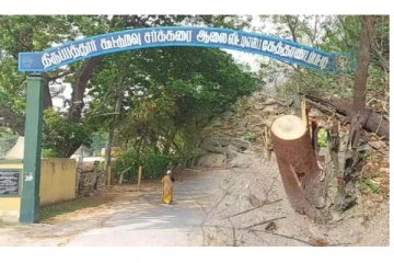 சந்தன மரங்கள் மர்ம நபர்களால் வெட்டிக் கடத்தல்- குற்றவாளிகளுக்கு போலீசார் வலை