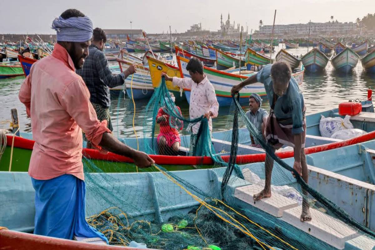 சிறையில் வாடும் கடற்றொழிலாளர்கள் தொடர்பில் தமிழக முதலமைச்சர் விஜய்யிடம் விடுக்கப்பட்டுள்ள கோரிக்கை | Fishermen Languishing In Prison