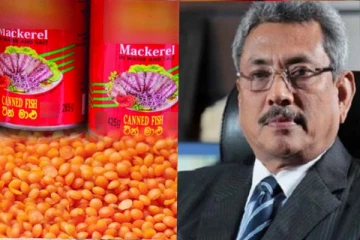 පරිප්පු කිලෝවක් 89ක් සහ සැමන් ටින් එකක් 110 න්..ගෝඨාභය යළි කරළියට..