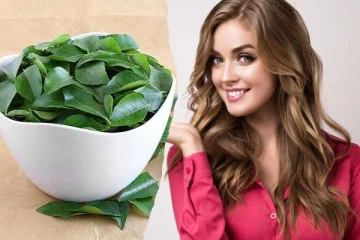 வெறும் வயிற்றில் 15 கறிவேப்பிலை சாப்பிடுவதால் நிகழும் அற்புதம்! அவசியம் அறிந்து  கொள்ளுங்கள்