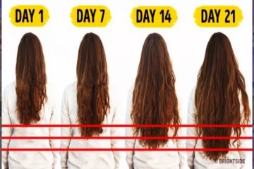 தலைமுடி அடர்த்தியாகவும் உதிராமலும் இருக்க இந்த ஒரு பொருள் இருந்தா போதும்...