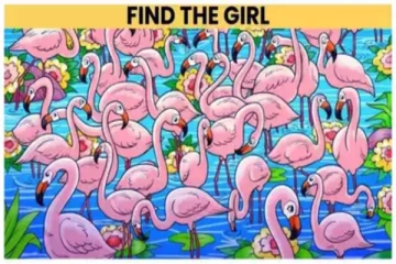 Optical illusion: துல்லியமான கண்பார்வை இருந்தால் இதில் மறைந்துள்ள பெண் எங்கே?