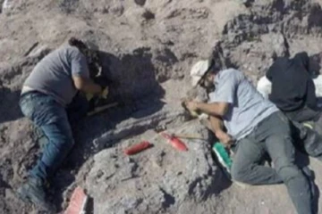 உலகிலேயே மிகப்பழமையான டைனோசர் புதைப்படிவம் கண்டுபிடிப்பு!