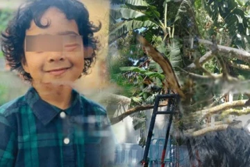 பாடசாலை ஒன்றில் மரம் வீழ்ந்து 5 வயது மாணவன் பலி: இருவர் வைத்தியசாலையில்