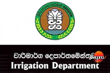 හැමෝටම සතුටු හිතෙන පණිවුඩයක්