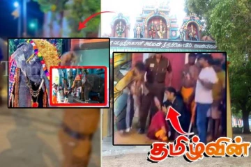 யாழ் ஆலயமொன்றில் நடந்த அநீதி! யானையால் காலினை இழந்த பெண்
