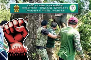 சுகயீன விடுமுறை போராட்டத்தில் குதித்த வனஜீவராசிகள் திணைக்கள அதிகாரிகள்