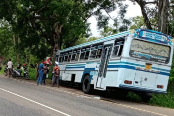 மரத்துடன் மோதிய பேருந்து! மாணவர்கள் உட்பட 15 பேர் படுகாயம்