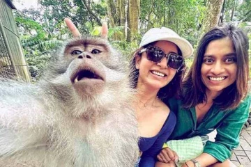 குரங்குடன் சமந்தா! வைரலாகும் புகைப்படங்கள்